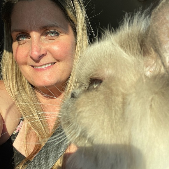 Annie Anglehart - Poshmark Profile Picture of Annie Anglehart (@annie_anglehart) on Poshmark