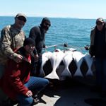 Profile Picture of Randy Caldera (@calderarandy) on Instagram