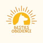 Profile Picture of Kimberly Herzog-Meng (@bestiesobedience) on Instagram