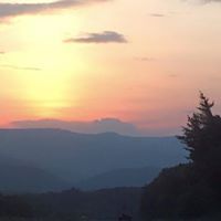 Profile Picture of Erika Russell (@rosalynndoris) on Pinterest