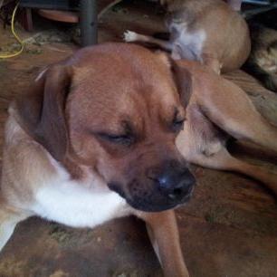 Profile Picture of Kim Winn (@kimwinn2) on Twitter