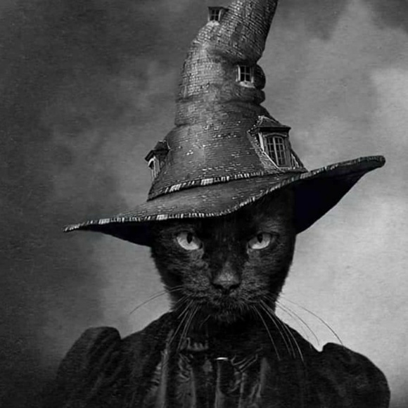 Profile Picture of Corrinne Blair (@farzzello1) on Poshmark