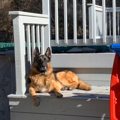 Profile Picture of Logan Connors (@LoganConnors1) on Twitter