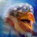 Profile Picture of DDavid Earl (@dayearl) on Pinterest