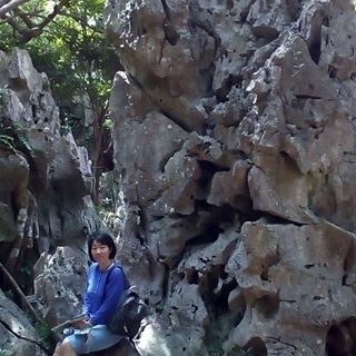 Profile Picture of Yoko  Hirata (@yoko.hirata.1848) on Facebook