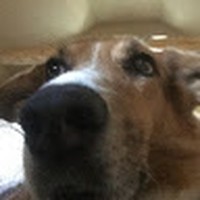 Profile Picture of Vivian Eng (@vivian-eng-10) on Quora