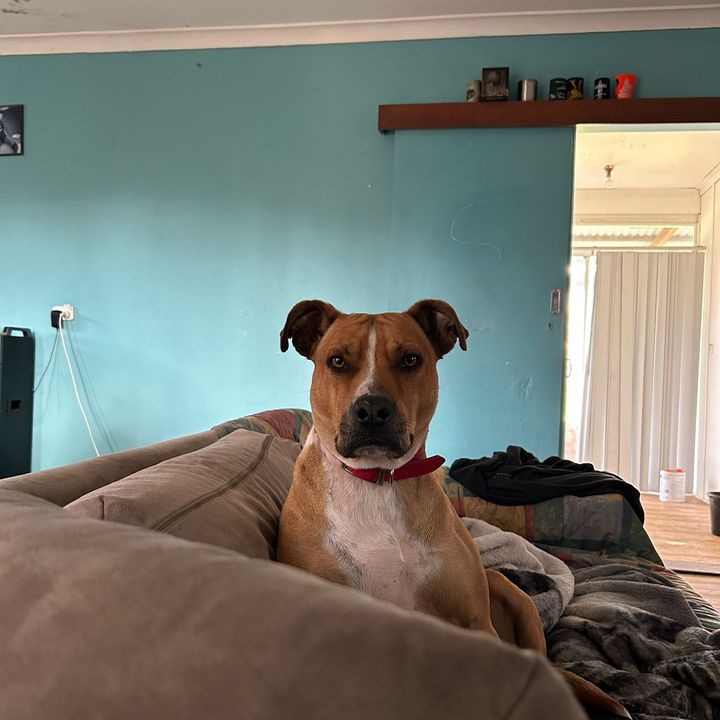 Profile Picture of Carlton (@carlton977) on Tiktok