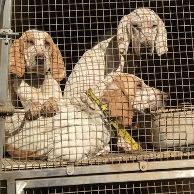 Profile Picture of François Jude (@FranoisJude7) on Twitter