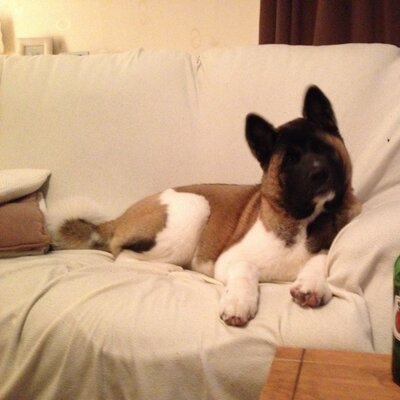 Profile Picture of Martin Swanson (@SwansonTin) on Twitter