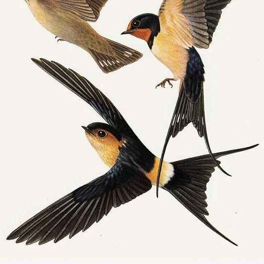 Profile Picture of .... (@chrislislee94) on Tiktok