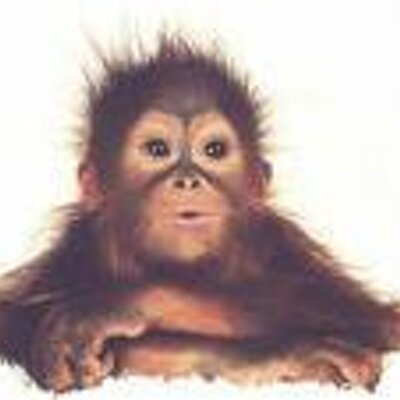 Profile Picture of Justin Wiese (@justinwiese77) on Twitter