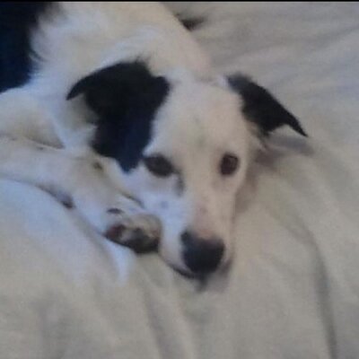 Profile Picture of Soco Rupert Hall (@SocoBeLoco) on Twitter