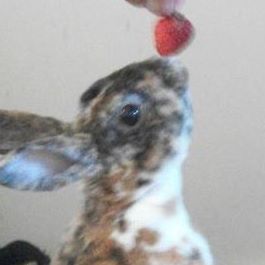 Profile Picture of Rex Cannon (@rex.cannon.77) on Facebook