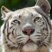 Profile Picture of Jacob Percival (@jacob.percival.9634) on Facebook