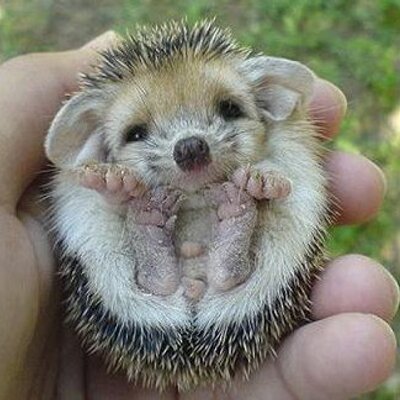 Profile Picture of Gary Piercy (@stewmongo) on Twitter