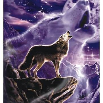 Profile Picture of William Duvall (@William37133865) on Twitter