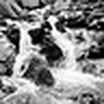 Profile Picture of Emily Davey (@..emily..) on Flickr