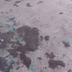 Profile Picture of Jamesson Telfort (@Jamesson-Telfort) on Facebook