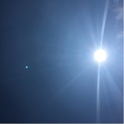 Profile Picture of Sena (@TomSeeena) on Twitter
