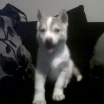 Profile Picture of Brendan CraiG (@BrenDCraiG) on Twitter