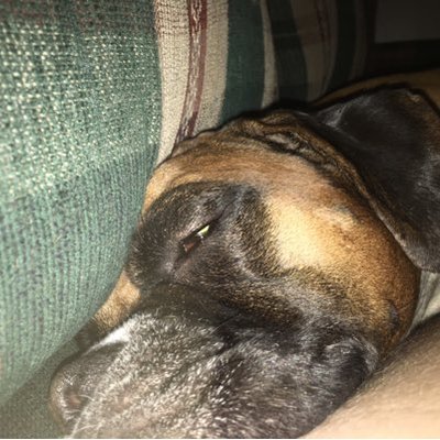 Profile Picture of Andrew Purdin (@Andrew_Purdin) on Twitter