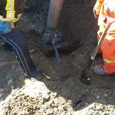 Profile Picture of Vincent Fournier (@annievince8227) on Twitter