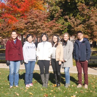 Profile Picture of GuoLabatYale (@GuoLabatYale) on Twitter