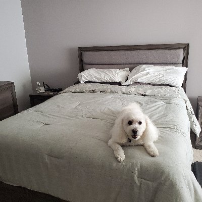 Profile Picture of Joe Macinnis (@joeymac066) on Twitter