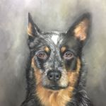 Profile Picture of Kim Martin (@kimmartinpetportraits) on Instagram