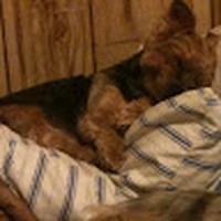 Profile Picture of Pam Noles (@pam-noles-2) on Quora