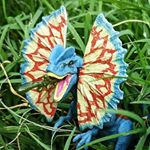 Profile Picture of Devin Gills (@imperial_spectre) on Instagram