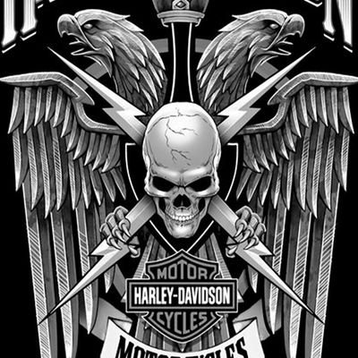 Profile Picture of David Yerkey (@DavidYerkey) on Twitter