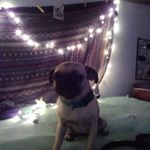 Profile Picture of Bryce Gordon (@bryce.gordon.378) on Instagram