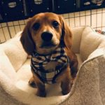 Profile Picture of David Ruffin The Dapper Dash (@davidruffinthedapperdash) on Instagram