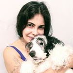 Profile Picture of Lori Longo (@lorilongo.lori) on Instagram