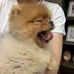 Profile Picture of Joshua Byun (@Joshua-Byun) on Facebook