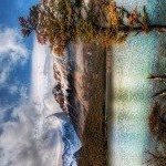 Profile Picture of Raymond (@43377gibbon) on Instagram