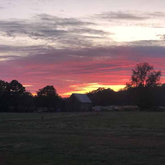 Shelley Nutwell - Poshmark Profile Picture of Shelley Nutwell (@sn18) on Poshmark