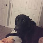 Profile Picture of Austin Shane Rogers (@austinrogers284) on Instagram