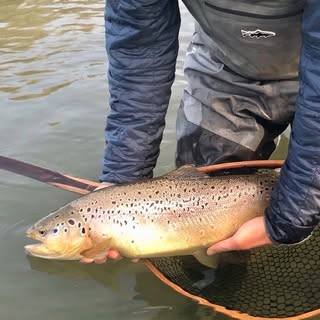 jamesdegrazio - Instagram Profile Picture of jamesdegrazio (@jamesdegrazio) on Instagram