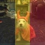 Profile Picture of Richard Garbutt (@garbutt.richard) on Instagram