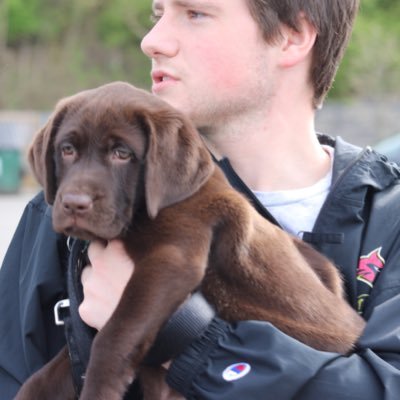 Profile Picture of Daniel Janyska (@@JAnesquik_bunny) on Twitter