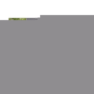 Profile Picture of Dominick Dibella (@114144784) on Myspace