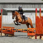Profile Picture of Sienna Chase 🇬🇧 (@sienna_rae_chase_equestrian) on Instagram