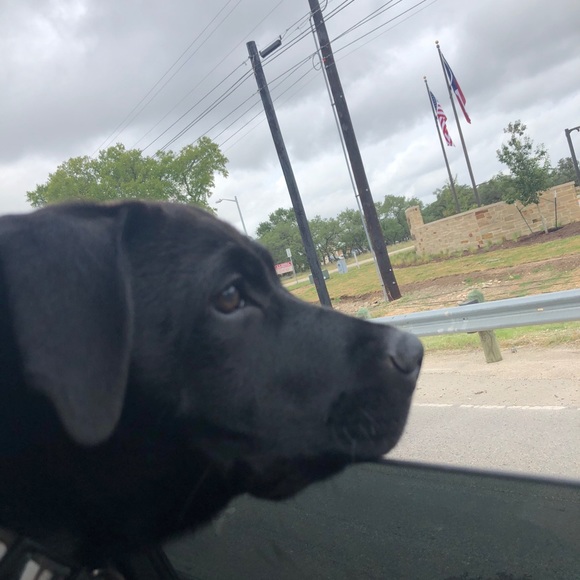 Profile Picture of Mikinzi Freeman (@mikizni1403) on Poshmark