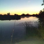 Profile Picture of Susan parrish (@susanparrish66) on Instagram
