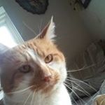 Profile Picture of Thomas Robert Aikins Jr. (@aikinsjr.thomas) on Instagram