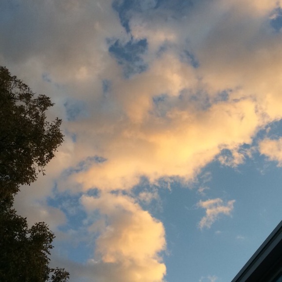 Profile Picture of Amanda Sleeth (@acsleeth) on Poshmark