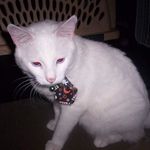 James Hennager - Instagram Profile Picture of James Hennager (@j.hennager) on Instagram