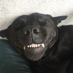 Profile Picture of Jim Dawson (@jim_mcr) on Instagram